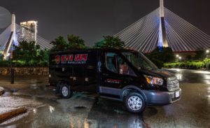 Pest Control Near Boston