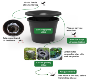 How The In2Care Mosquito System Works