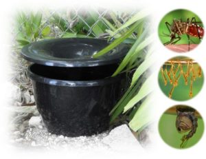 Ultra Safe Pest Is a Licensed In2Care Mosquito Trap Installer In Massachusetts