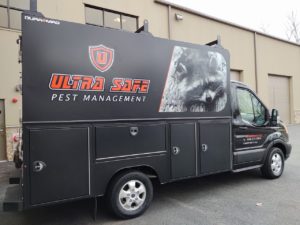 Wildlife Removal Massachusetts