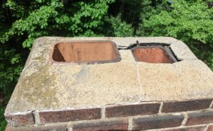 Raccoon Removal From Chimney